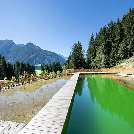 In Neukirchen Near Wildkogel Arena Holiday home *