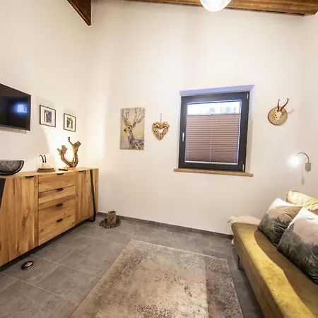 In Neukirchen Near Wildkogel Arena Holiday home