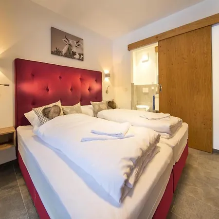 In Neukirchen Near Wildkogel Arena *