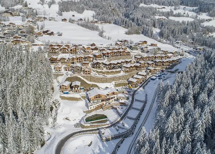 In Neukirchen Near Wildkogel Arena *